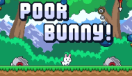 Poor Bunny